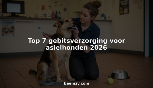 Een vrijwilliger van het asiel poetst de tanden van een hond in de ontvangstruimte.