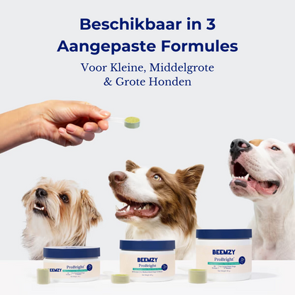 ProTand® Geavanceerd Tandpoeder voor Honden