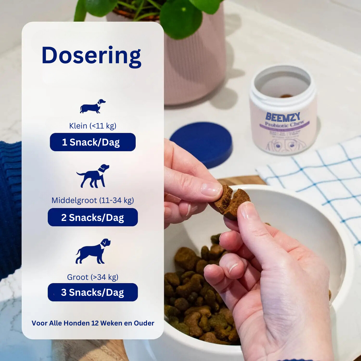 Probiotica voor Honden – Spijsverterings- en Darmgezondheid