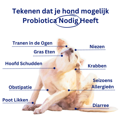 Probiotica voor Honden – Spijsverterings- en Darmgezondheid