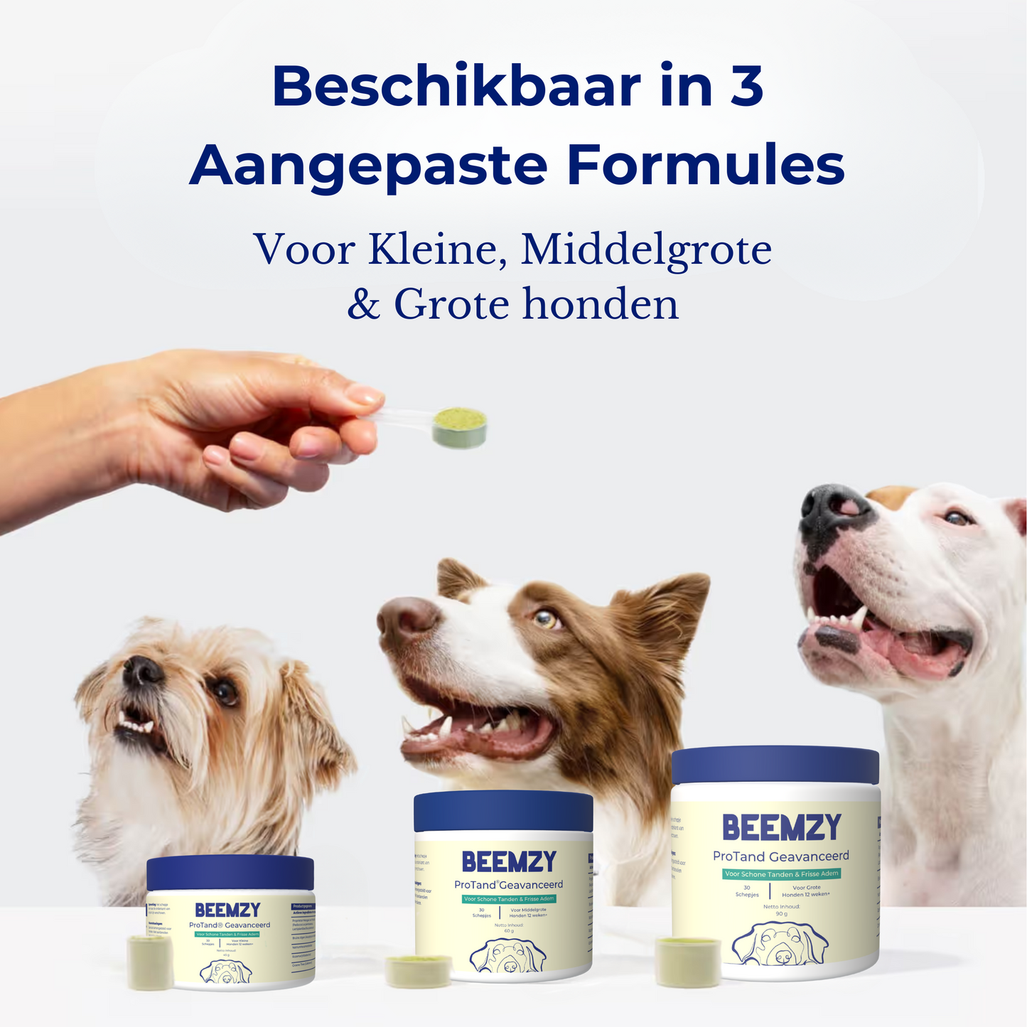 Beemzy Tandpoeder voor Honden