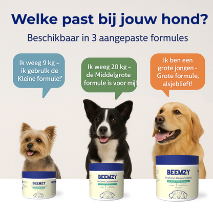 Beemzy Tandpoeder voor Honden