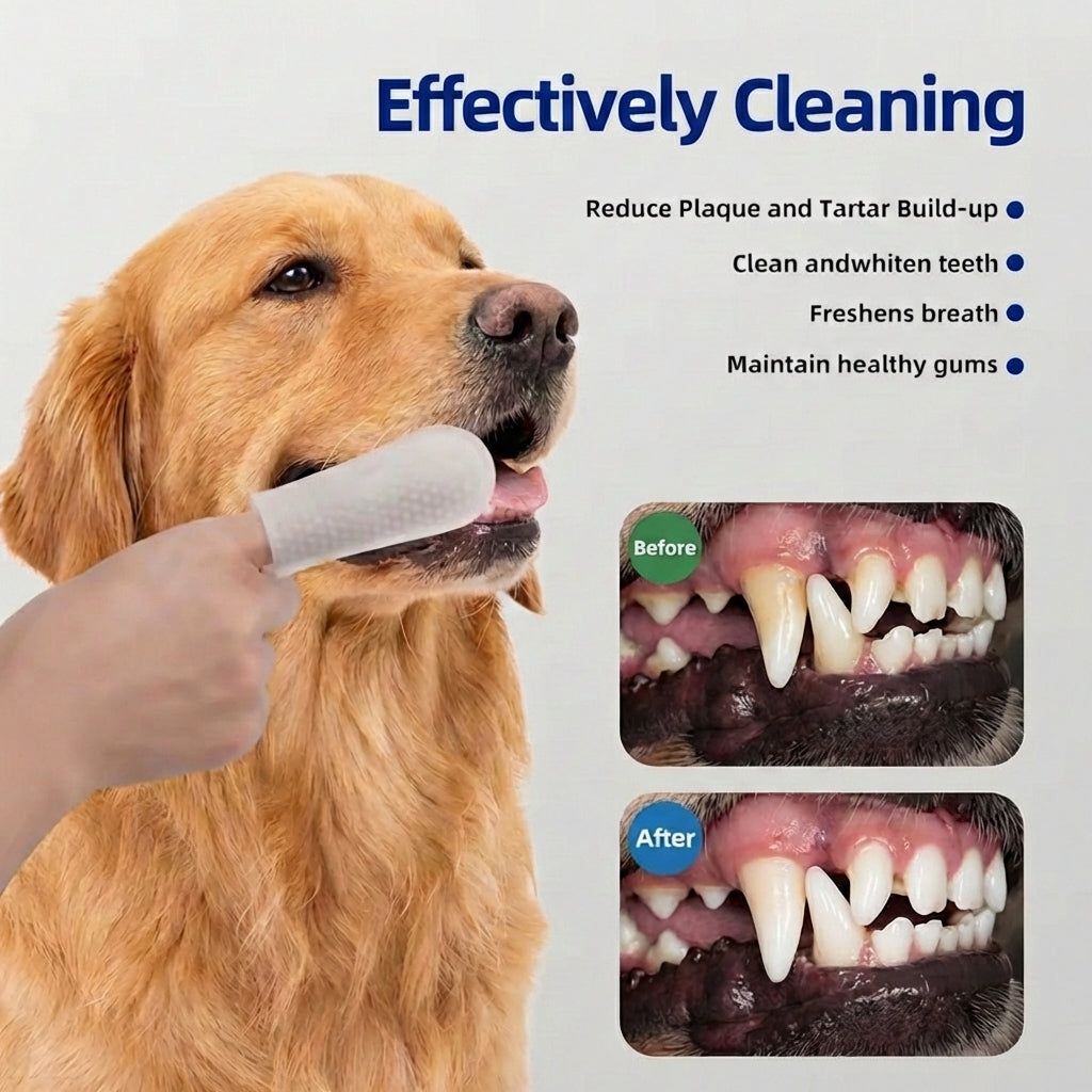 Beemzy Lingettes buccales – Chien & Chat