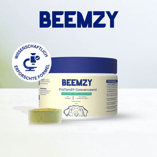 Beemzy Zahnpulver für Hunde, kleine Dose