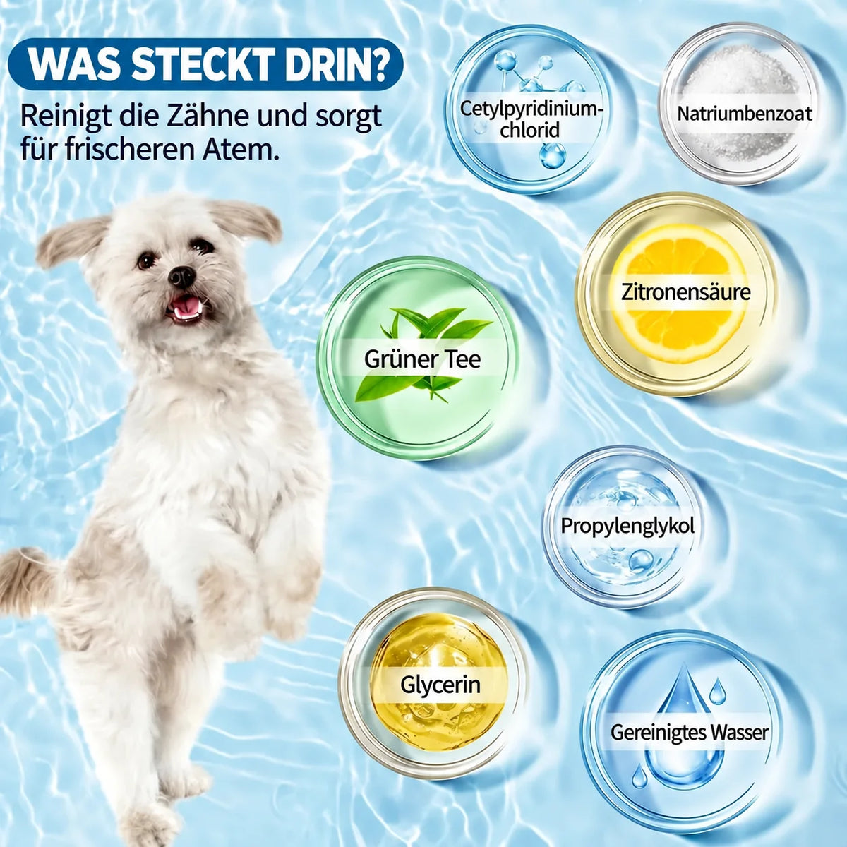 Was steckt drin